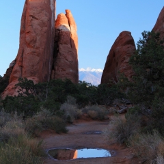 Leaving the trail