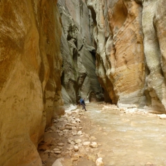 Zion Narrows