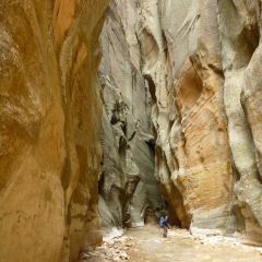 Zion Narrows