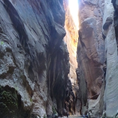 Zion Narrows