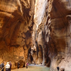 Zion Narrows - Bottom