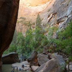 Zion Narrows - Bottom