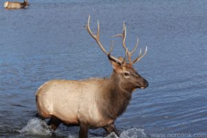 121008_rockymtnnatpark_01