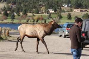 121008_rockymtnnatpark_02