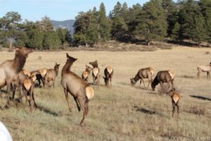 121008_rockymtnnatpark_04