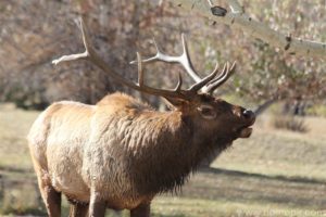 121008_rockymtnnatpark_05