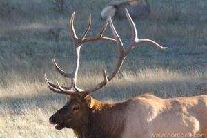 121008_rockymtnnatpark_06