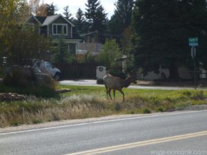 121008_rockymtnnatpark_08