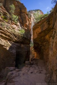 Observation Point Trail