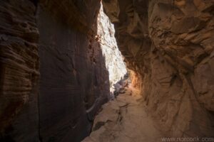 Observation Point Trail