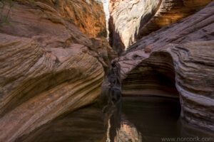 Observation Point Trail