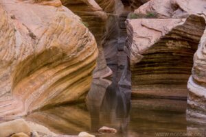 Observation Point Trail