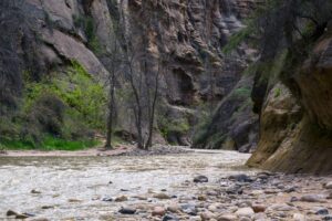 Zion Narrows