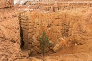Bryce Canyon
