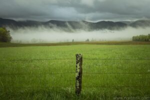 Cades Cove Fog