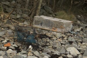 Lobster Trap
