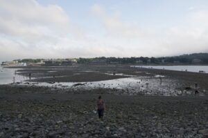 Bar Island Land Bridge