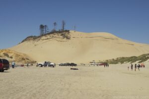 Pacific City Dune