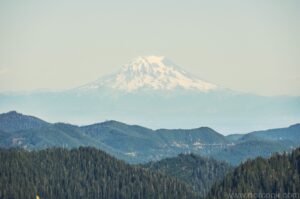 Mt. Rainier