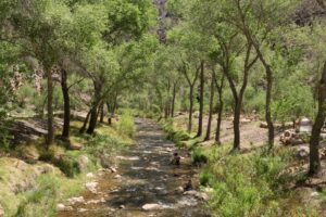 Bright Angel Campground