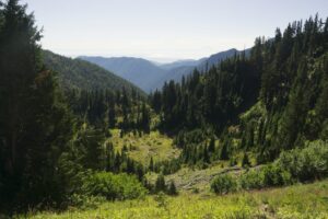 Lake of the Angels Trail