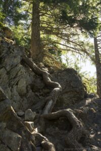 Lake of the Angels Trail