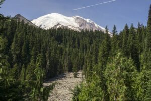 Mt. Rainier