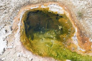 West Thumb Geyser Basin