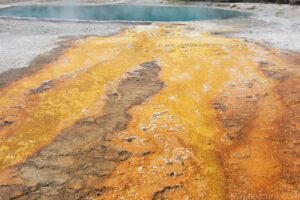 West Thumb Geyser Basin