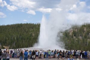 Old Faithful