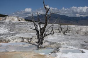 Mammoth Hot Springs