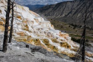 Mammoth Hot Springs