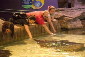 Janet touching a Ray