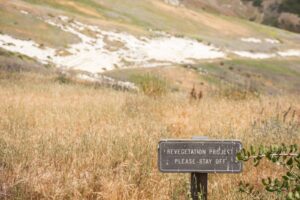 Oops - our cutacross