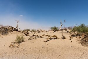 Death Valley Sand Dunes