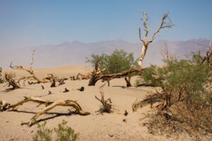 Death Valley Sand Dunes