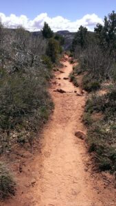 Observation Point Trail