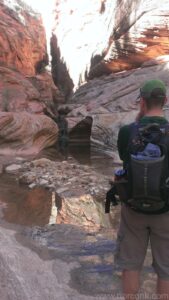 Observation Point Trail