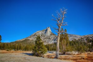 Cathedral Peak