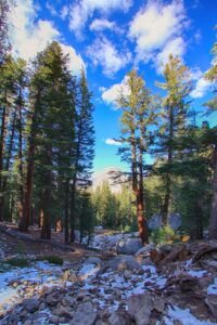 Cathedral Lakes Trail