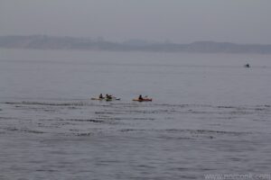 Monterey Kayakers