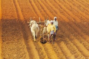 Farmers in India