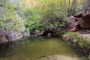 Lower Emerald Pool