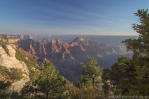 Grand Canyon View