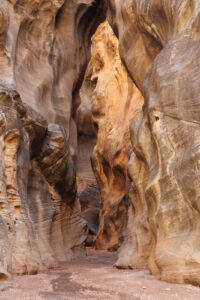 Willis Creek Canyon