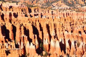 Bryce Canyon hoodoos