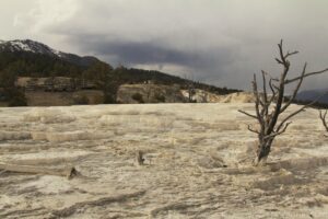 Mammoth Hot Springs