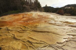 Mammoth Hot Springs