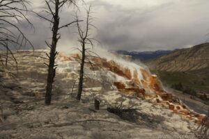 Mammoth Hot Springs