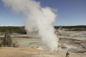 Norris Basin Geyser